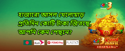 ভিআইপি সাপ্তাহিক ক্যাশব্যাক promotion